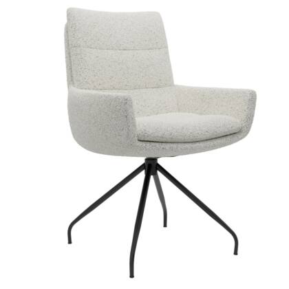 rf Armlehnstuhl Jukkra Champagner masterbild 129398 small | Homepoet
